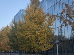 -西二旗(地铁站)