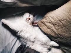 -广州保龄球馆(广州天河体育中心店)