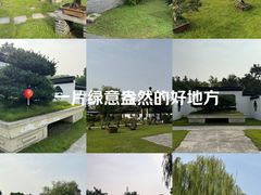 -扬州大运河文化旅游度假区·盆景园