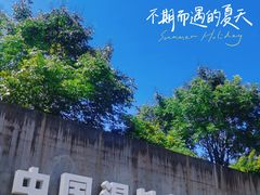 -中国湿地博物馆