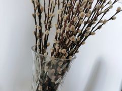 -双季花艺园艺市场(浦东店)