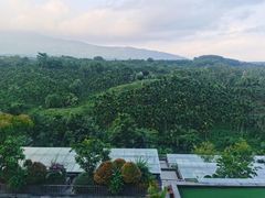 -七仙岭温泉国家森林公园