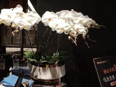 -浩运海鲜·16年专注青岛菜(石老人店)