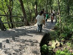 -紫金山山顶公园