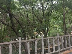 -青岩寺风景区