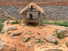 -济南野生动物世界