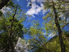 -叠溪松坪沟景区