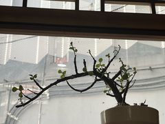 -悟饮门市景店