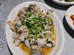 香葱淋鲈鱼-粤·向群饭店(龙津东路总店)