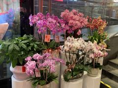 -豆豆花艺(新光天地店)