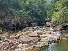 -广州白江湖森林公园