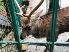 -武陵山森林公园