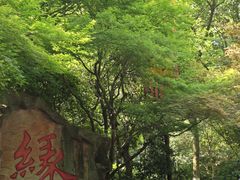 -杭州黄龙洞