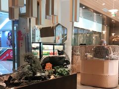 -东椰·海南椰子鸡火锅(朝阳门店)