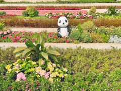 -成都大熊猫繁育研究基地