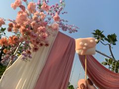 -棕榈泉国际高尔夫学院