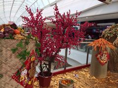 iphone_upload_pic-万达广场(大明宫店)