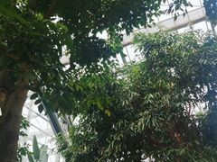 -南山植物园
