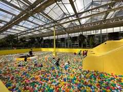 -南宫五洲植物乐园