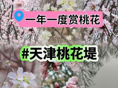 -桃花堤公园