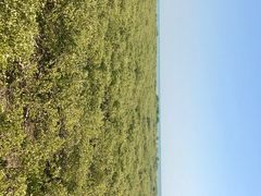 -北海金海湾红树林生态旅游区