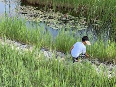 -野鸭湖国家湿地公园