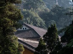 -缙云山景区