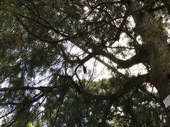 -香山公园-东宫门售票处