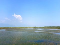 -野鸭湖国家湿地公园