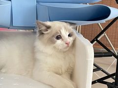 -猫遇摄影工作室