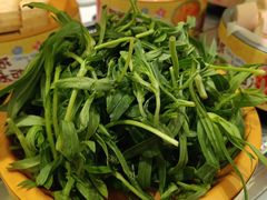 -龍歌自助小火锅(市南金茂湾店)