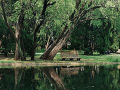 -上海共青森林公园