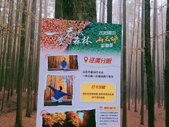 -山王坪喀斯特国家生态公园