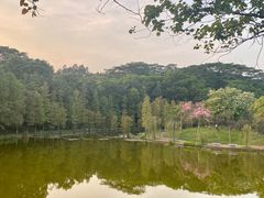 -广东工业大学(大学城校区)