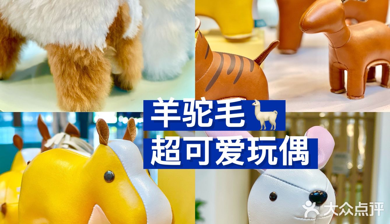 艺术 | 人文 | 自然 | 𝗞11 𝗦elect盛大开业