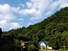 -黔灵山公园