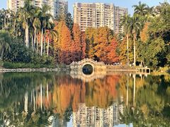 -中国科学院华南植物园