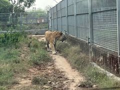 -东莞香市动物园