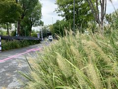 -杭州城北体育公园