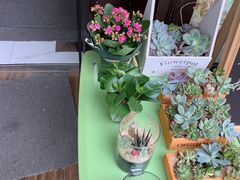 -花言草语鲜花店(灵山路店)