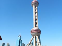 -陆家嘴中心绿地
