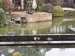 -杭州西子湖四季酒店·金沙厅