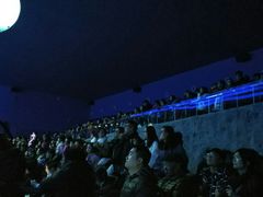 人鱼表演-上海海昌海洋公园