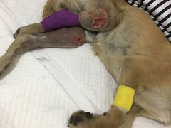 -畜牧兽医站(共江路店)