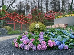 -广州市白云山风景名胜区