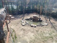 -上海野生动物园老虎餐厅