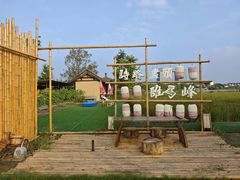 -杭州湾海上花田景区