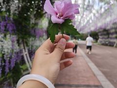 -云漫湖生态度假公园