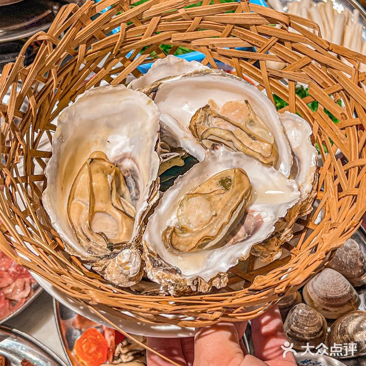 汶和记粥底火锅,一人一煲,食材新鲜超好吃‼️