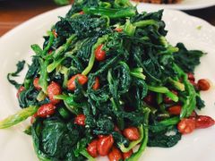 果仁菠菜-白魁老号饭庄(交道口店)